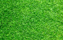 5 Steps to Prepare Your Ground Before Installing Synthetic Grass