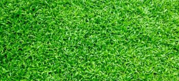 5 Steps to Prepare Your Ground Before Installing Synthetic Grass