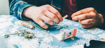 What Are the Top 5 Cannabinoids?