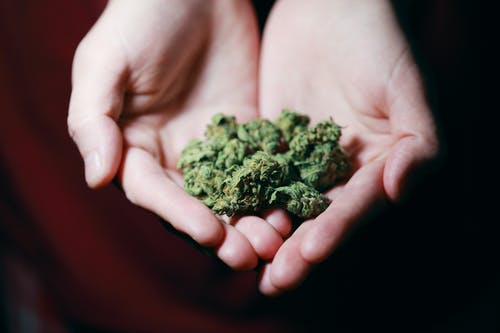 The Surprising Benefits of Recreational Marijuana Use