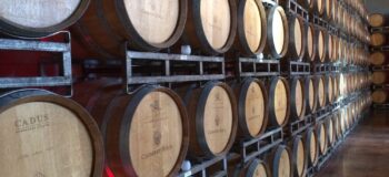 Attributes of a Fine Wine