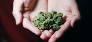Strategies for Digital Marketing Cannabis